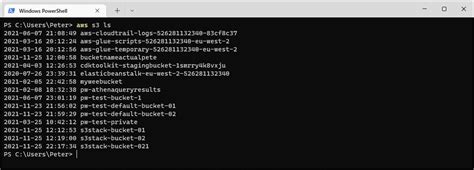 aws s3 ls cli